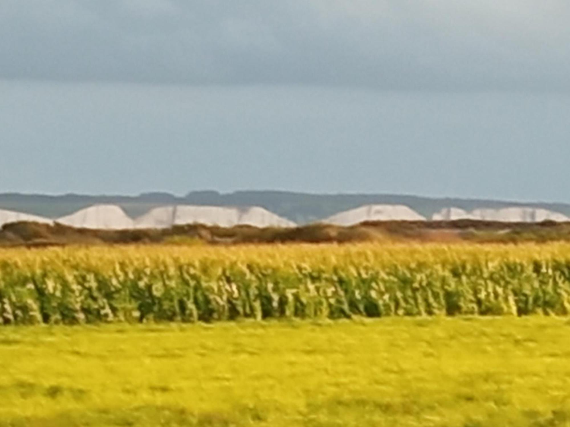 Gite Repos Et Tranquillite G Cayeux-sur-Mer Eksteriør billede