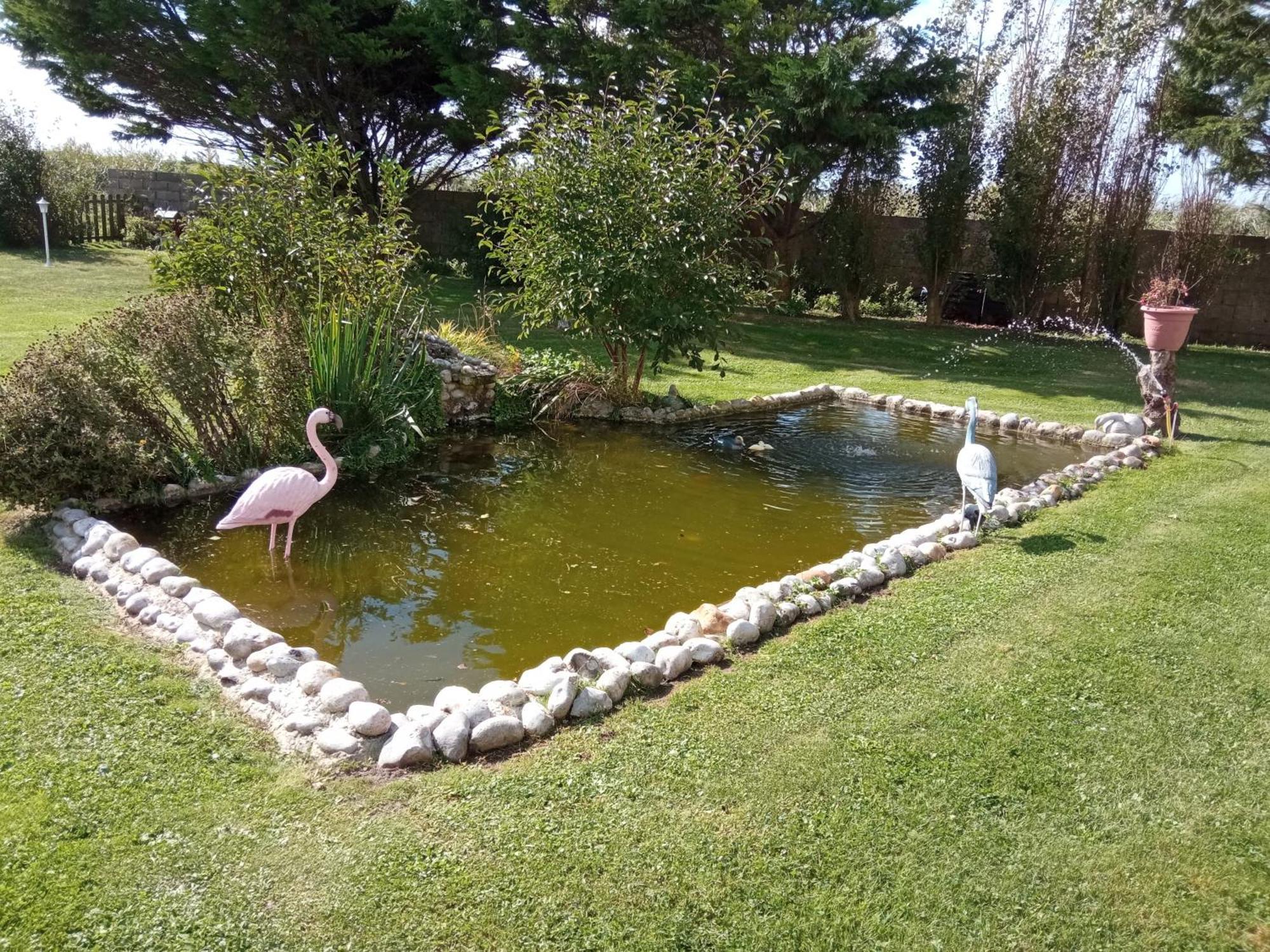 Gite Repos Et Tranquillite G Cayeux-sur-Mer Eksteriør billede